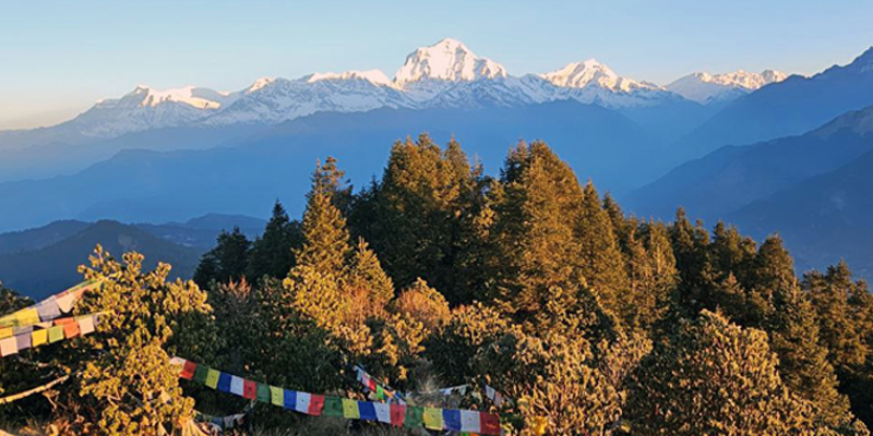 Dental Tourism in Nepal